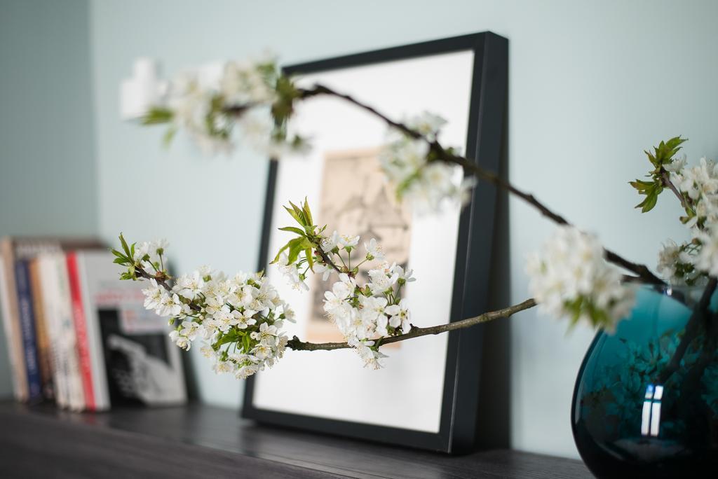 Apartament Paulove Krasków Eksteriør bilde